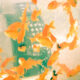 image poissons
