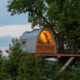 architecture arbre cabane