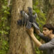rainforest Connection